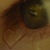 :iconShielaAngel: