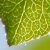 :iconshift-ing: