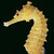 :iconshift1085: