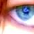:iconshihona: