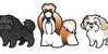 :iconshihtzufanclub: