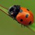 :iconshii-chan23: