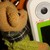 :iconshiibakumiko: