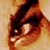 :iconshiintoittou: