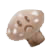 :iconshiitakeee: