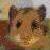 :iconshija07: