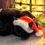 :iconshika71: