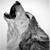 :iconShikamarus-wolf-only: