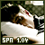 :iconshikaruchan: