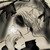 :iconshikimi-kun: