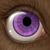 :iconshikosquirrel: