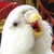 :iconshiku191: