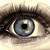 :iconshilla86: