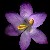 :iconshiloh824: