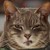 :iconshimattastudios: