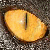:iconshimbow: