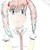:iconshimi-miew: