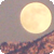 :iconshimikills: