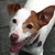 :iconshimmeringlights: