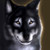:iconshimmeringsilverwolf: