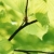 :iconshimomura-kei: