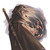 :iconshimpa02: