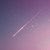 :iconshin-hong: