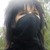 :iconshin-tek: