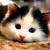 :iconshinbree: