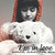 :iconshineeblue: