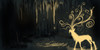 :iconshinenshee-species: