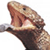 :iconshingleback: