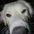 shini-akuji :iconshini-akuji: