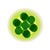 :iconshinichizen: