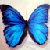 :iconShinigamiAkela: