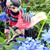 :iconshinigamilee: