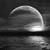 :iconShining-Nickel17: