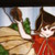 :iconshining113: