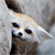 :iconshiningeverheart: