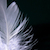 :iconshiningowl: