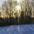 :iconshiningsnow:
