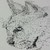 :iconshinishiron: