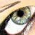 :iconshinkei007: