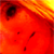 :iconshinkikker: