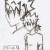 :iconshinnekomata: