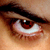 :iconshino-kenshi: