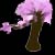 :iconshino14:
