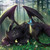:iconShinobi-RyuXiii: