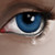 :iconshinokrishna: