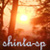 :iconshinta-sp: